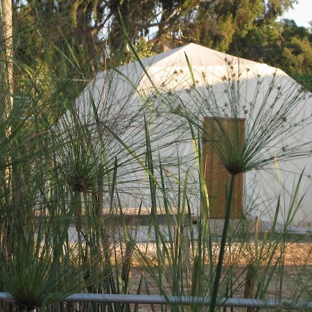 Yarok Az - Ecolodge Farm Ilaniya Стая снимка