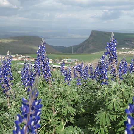 Yarok Az - Ecolodge Farm Ilaniya Екстериор снимка
