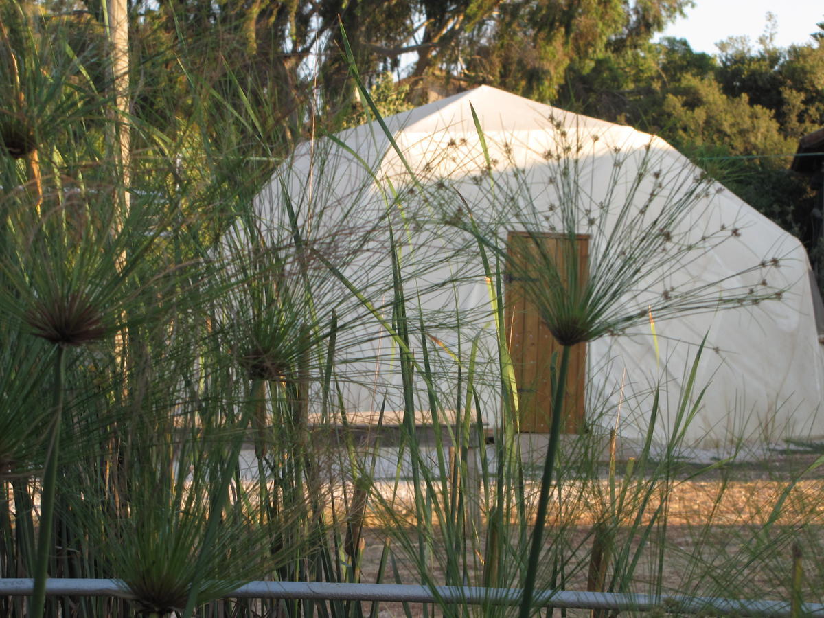 Yarok Az - Ecolodge Farm Ilaniya Стая снимка