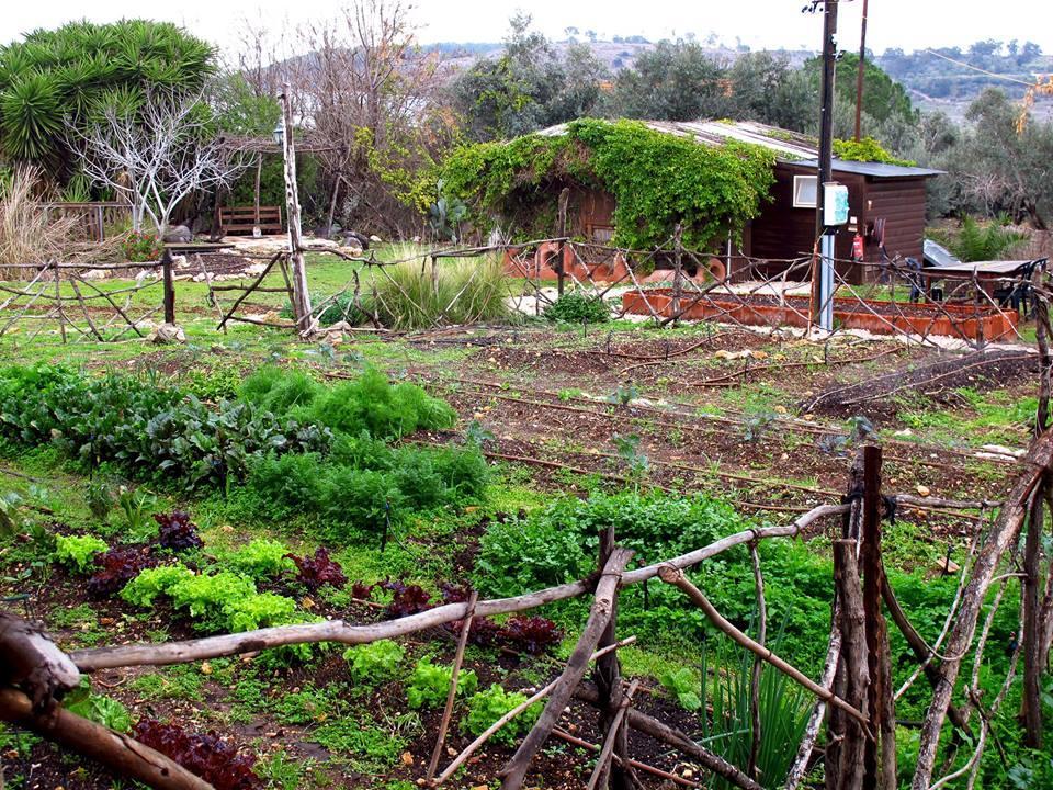 Yarok Az - Ecolodge Farm Ilaniya Екстериор снимка